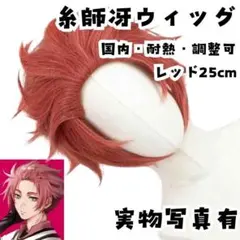 糸師冴　ウィッグ コスプレ　ブルーロック　180度耐熱 58cm【現物写真有】