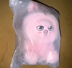 チャンビン 当選 ポラ 中国 スキズ - メルカリ