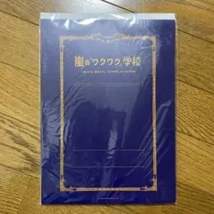 嵐 A4判レポート用紙 下敷き付