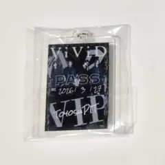 ViViD 豐洲PIT VIP 鑰匙圈
