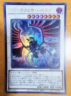2026年最新】ブラックフェザードラゴン ホロの人気アイテム - メルカリ