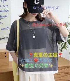 【大人気】MONO-MART クールシアーレイヤード 半袖トップス❤️色違いもありのサムネイル