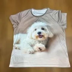 可愛い犬のプリント Tシャツ ベージュ ベージュ色もキレイ　犬好きさん！いかが？