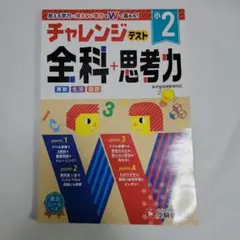 Item thumbnail for item 2055b386-22e6-466d-892d-44153d80db23