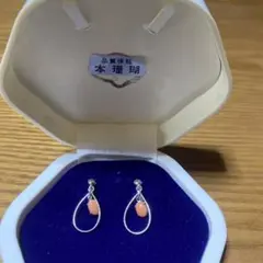 本珊瑚 イヤリング