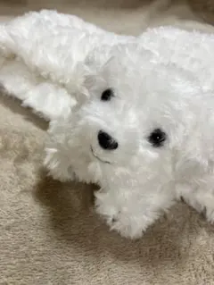 Item thumbnail for item 98b3ebe0-06b5-404e-b112-6e1342a1030a