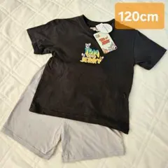 トムアンドジェリー　セットアップ　120cm