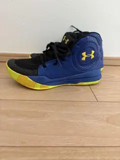 バッシュ23.5