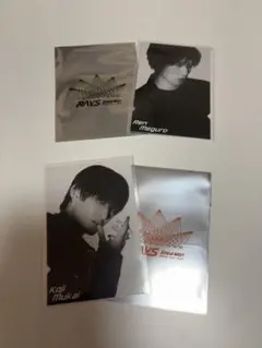 目黒蓮、向井康二、チケット風カード(RAYSツアーグッズ)