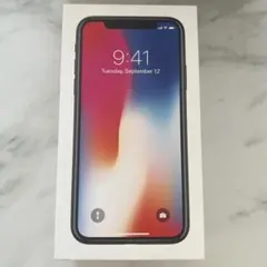 iPhone X space gray 256 GB  箱のみ