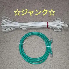 ☆ジャンク☆　LANケーブル　カテゴリ5e　2本セット