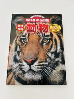 Item thumbnail for item 14c30122-1002-4bf6-8d5c-26095dd5f573