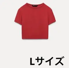 バーガンディ Tシャツ