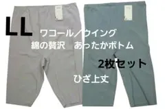 【新品】ワコール／ウイング　綿の贅沢 あったかボトム　ひざ上丈(LL)