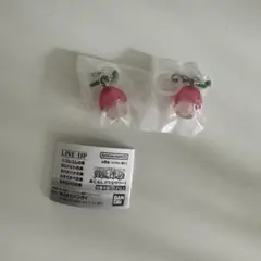 【新品未開封】めじるしアクセサリー ヒトヒトの実