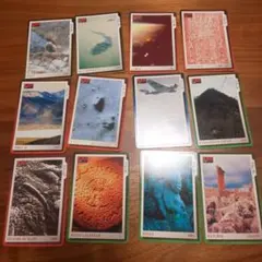 YI様 リクエスト 2点 まとめ商品