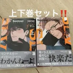 センチネルラヴァーズ　上下巻　やん　BL
