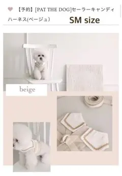 Item thumbnail for item 202350ff-dacd-4157-9922-996d4d51fff8