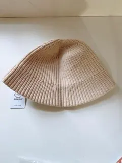 Item thumbnail for item a7ee0a63-732d-46e6-ba7f-8808d59a4d13