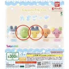 たまごっち カプセルフロッキーズ 　2個セット　まめっち くちぱっち