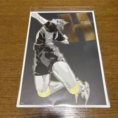 ハイキュー‼︎ 箔押しカード　日向翔陽　ジャンプショップ神保町