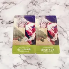 チケコレプレミアム シトロン 箔 ノーマル 2枚セット