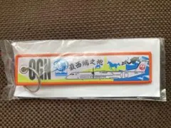 JAL ご当地空港 フライトタグ キーホルダー OKA 沖縄 ノベルティ