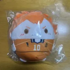 ハイキュー!! 日向翔陽 ふわコロリン