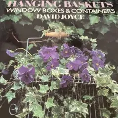 HANGING BASKETS  デビットジョイス