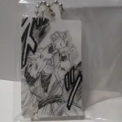 ドラゴンボール かめはめ波チャームコレクション 40周年【スーパーサイヤ人3】