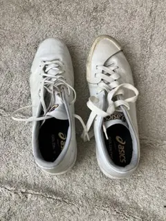 Item thumbnail for item 1b59823a-054b-4481-b68f-8486d25b856c