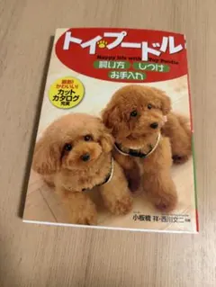 Item thumbnail for item ff5fb6a5-8d65-4e45-84a0-1e564c5f5c9e