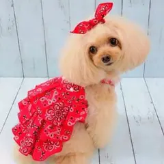 REDバンダナワンピース　BANDANAサーカスサーカスcircuscircusのサムネイル