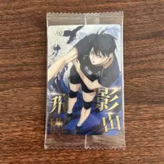 ハイキュー!! 影山飛雄 ブロマイド No.02