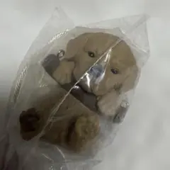 ぶらぶらりーず第2弾ゆれるわんこたち　ラブラドール