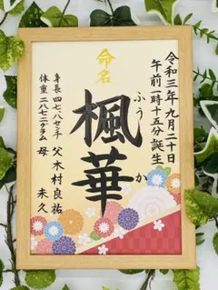 Item thumbnail for item c6b5d84f-dc49-4f7e-8b89-cebaa5f7834a