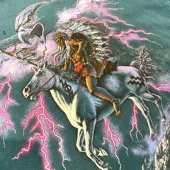 USA製 90s サンダーボルト インディアン イーグル HABITAT