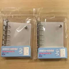 Item thumbnail for item 06366fc1-dc50-4026-9edf-912cdfa48fa0