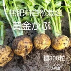 パキラ様 リクエスト 3点 まとめ商品