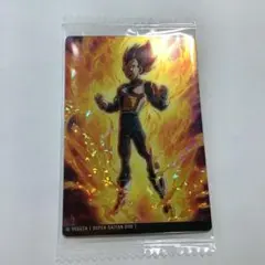 ドラゴンボール ベジータ 超サイヤ人ゴッドカード　イタジャガ7
