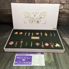 バンダイ 美少女戦士セーラームーン ピンズ&チャームフルムーンセット 73109のサムネイル