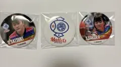 缶バッジチャンスくじ Tリーグ 卓球 T.LEAGUE 缶バッジ 16点セット