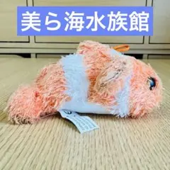 カクレクマノミ 美ら海水族館 ぬいぐるみ キーホルダー