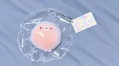 豆瓣酱炒蛋 アザラシ スクイーズ ココオイル