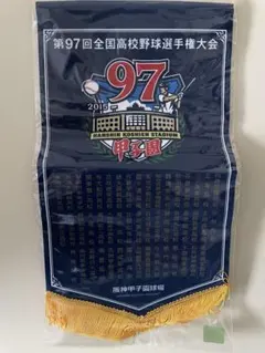 第77回全国高等学校野球選手権大会 大会出場校記載ペナント - メルカリ