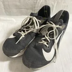 Item thumbnail for item e9d4a33a-bb27-4507-941f-ce1c32eac3fa