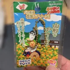 加トちゃん バカ殿 ドリフ ご当地 キーホルダー 45個 セット 2025年最新】志村けんキーホルダーの人気アイテム - メルカリ