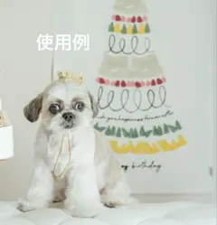 Item thumbnail for item 5f6dd660-86cf-4833-a3a4-b916e72385ca