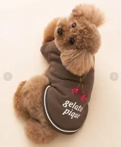 Item thumbnail for item ffc259bc-0916-4ad1-a69a-9223acd66af8