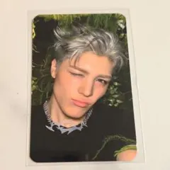 &TEAM　back to life トレカ　オリーブヤング　MAKI　マキ